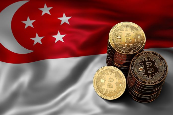 9 Exchanges to Buy Crypto & Bitcoin in Singapore ()