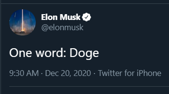 Dogecoin Celebrity Impact: The Elon Musk Effect