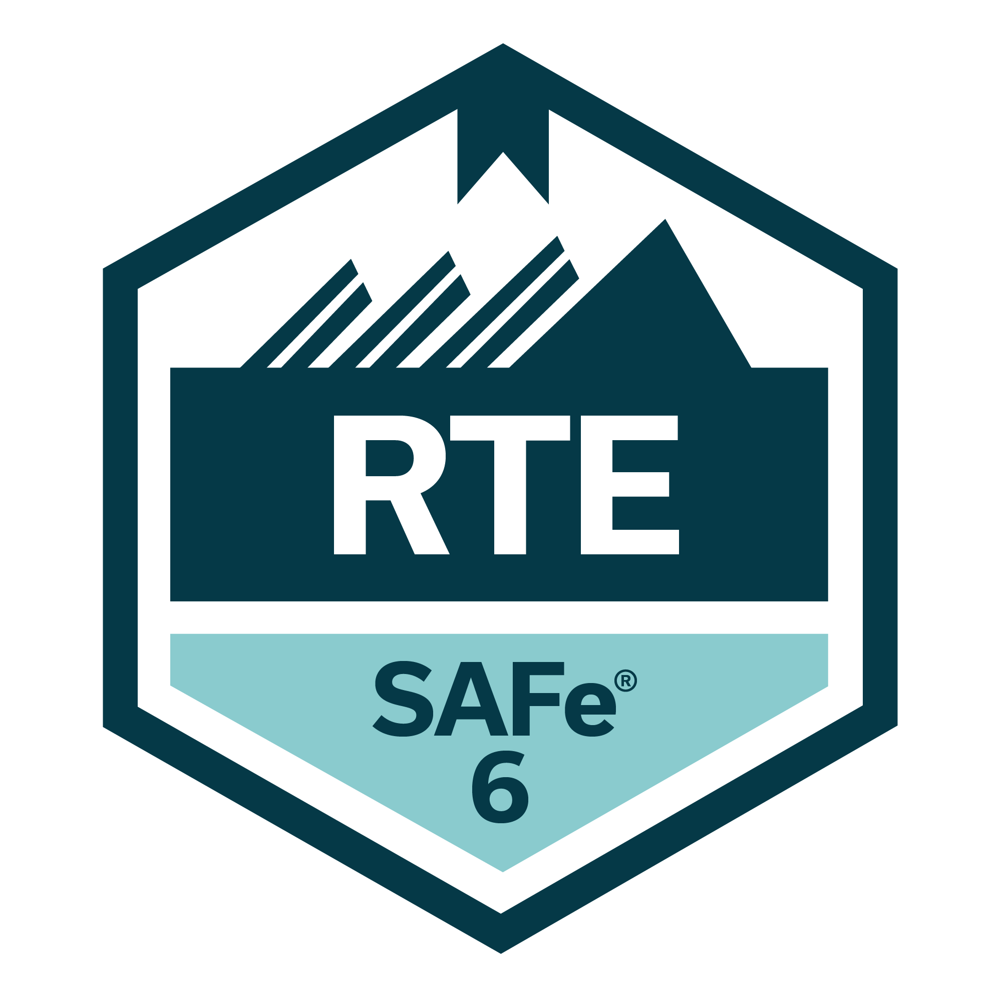 The Roles & Responsibilities of a SAFe Release Train Engineer (RTE)