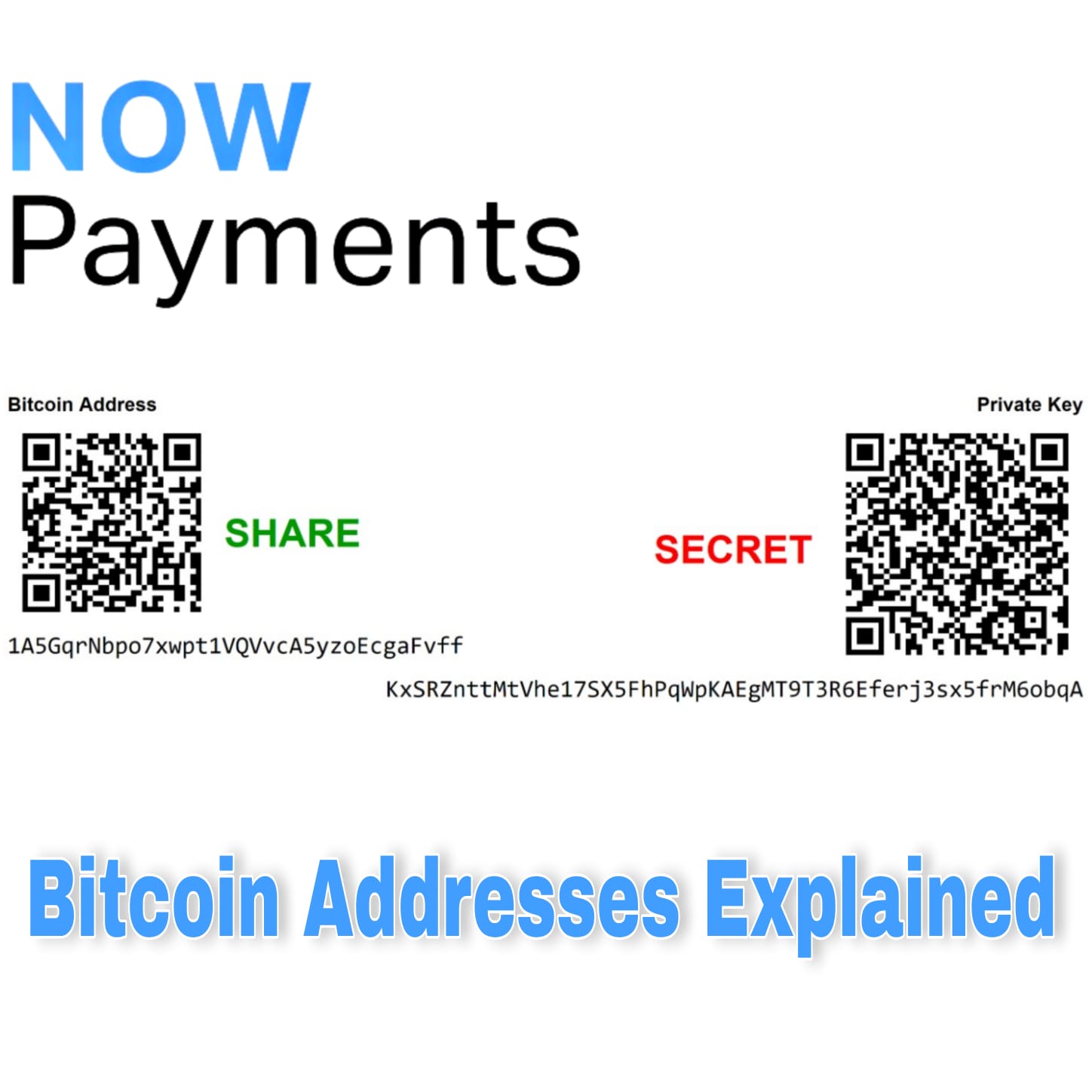 Bitcoin Wallets - Bitcoin Address | Leather