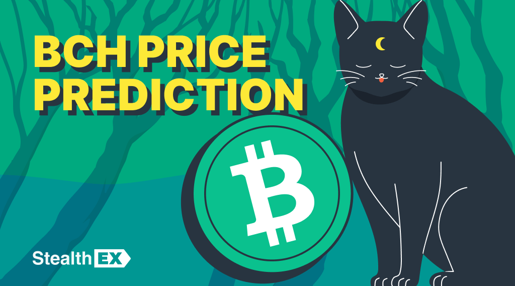 Bitcoin Cash Price Prediction & Forecast for , , | cointime.fun