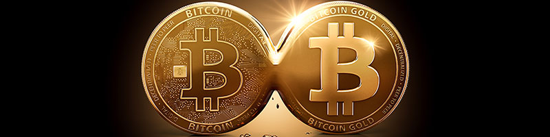 Bitcoin Gold - BTG Price Today, Live Charts and News