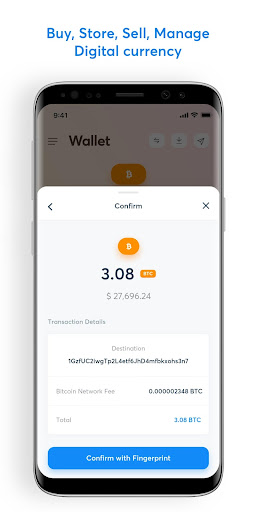 Virtual Wallet for Online Money Transfers & Payments - Native Teams