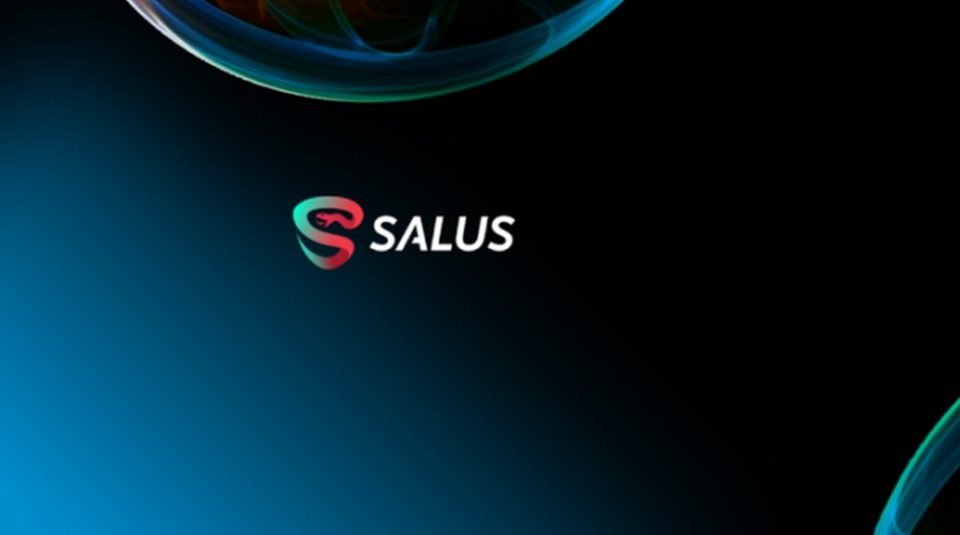 Salus Security Funding Rounds, Token Sale Review & Tokenomics Analysis | cointime.fun