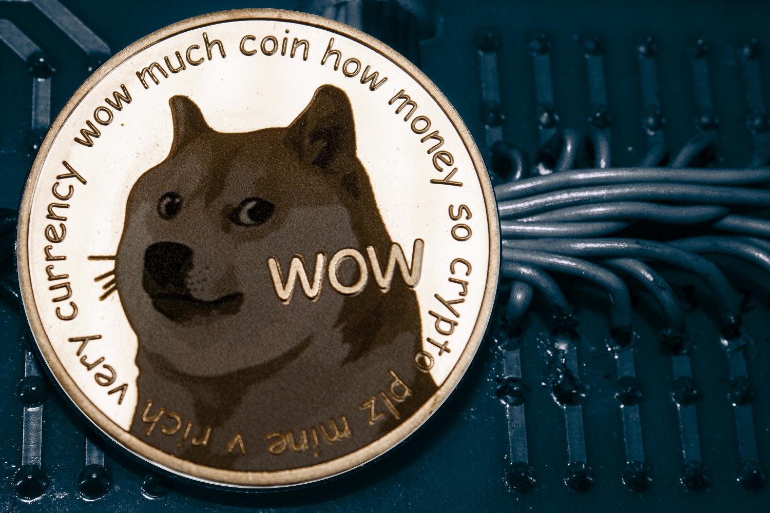 Is Dogecoin a Good Investment in ? - Benzinga