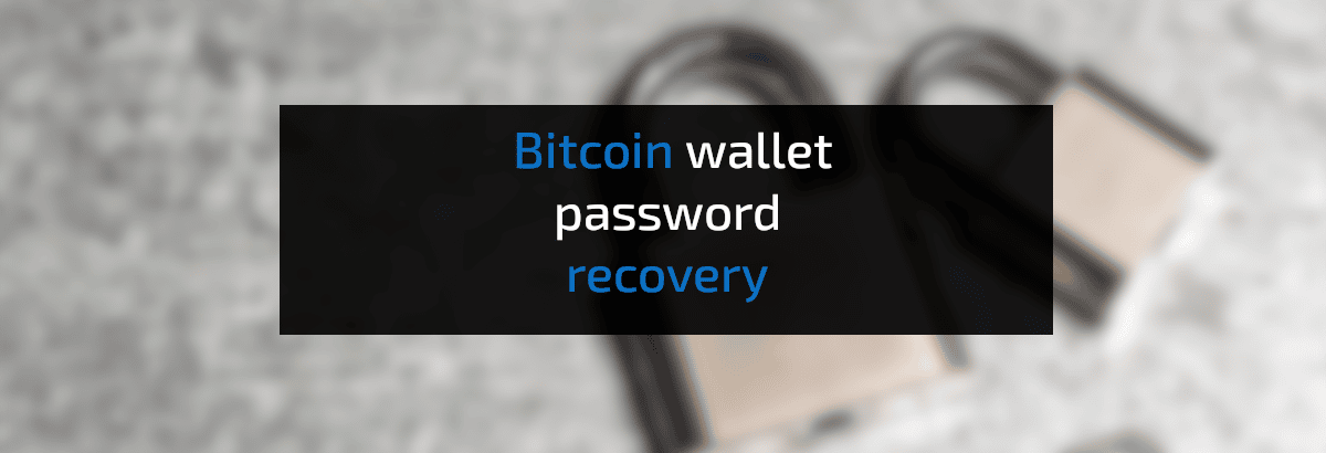 How to recover your Bitcoins: Is it possible? - Material Bitcoin