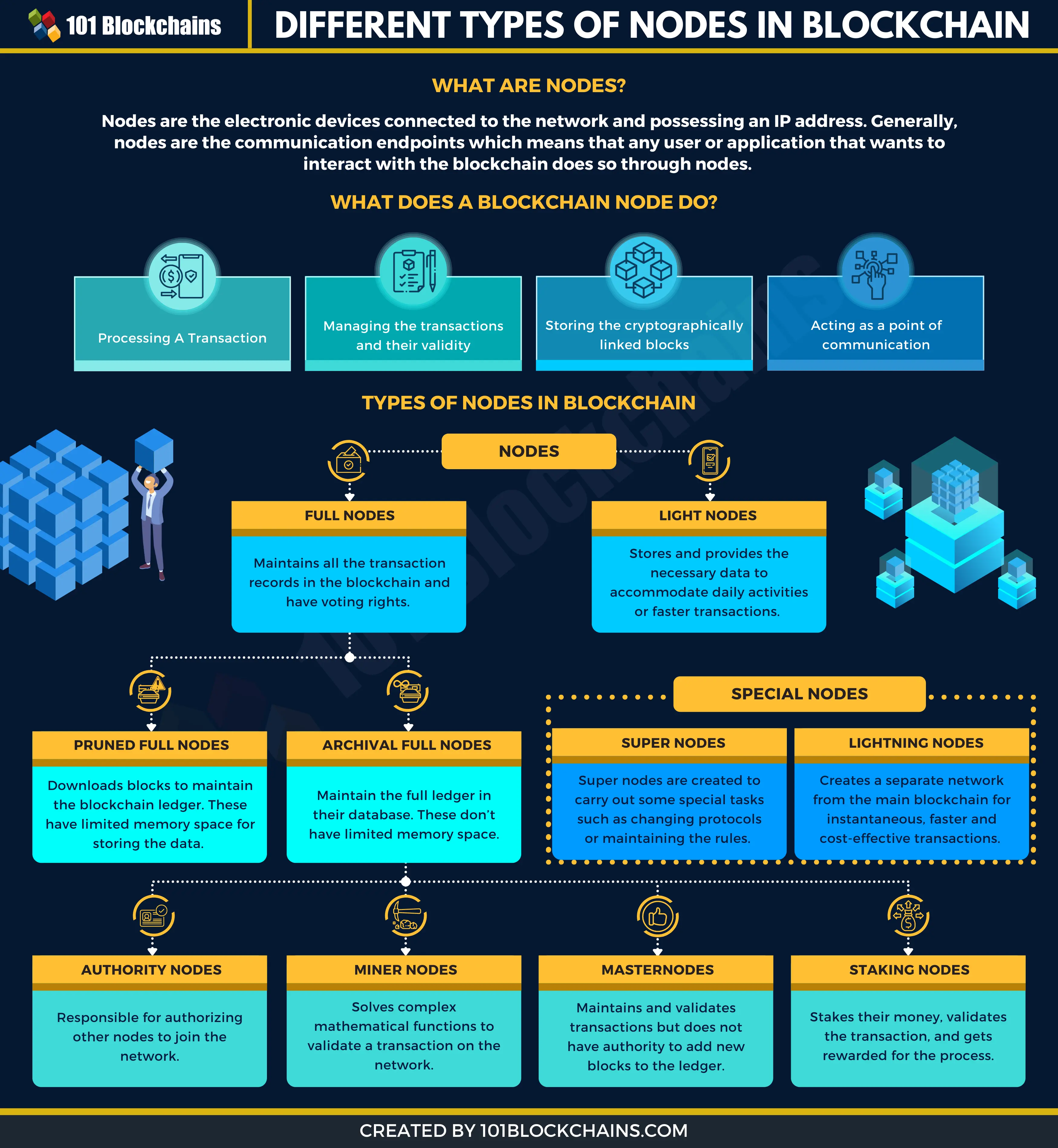 What is Participation Node? Definition & Meaning | Crypto Wiki