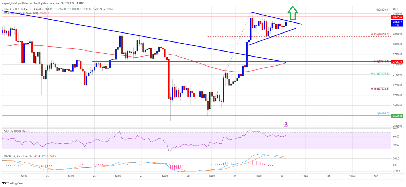 BTC to USD | How much is Bitcoins in USD