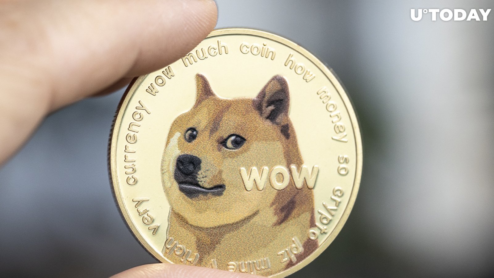 Dogecoin (DOGE) Price Rally Imminent as Funding Rates Grow % | FXEmpire