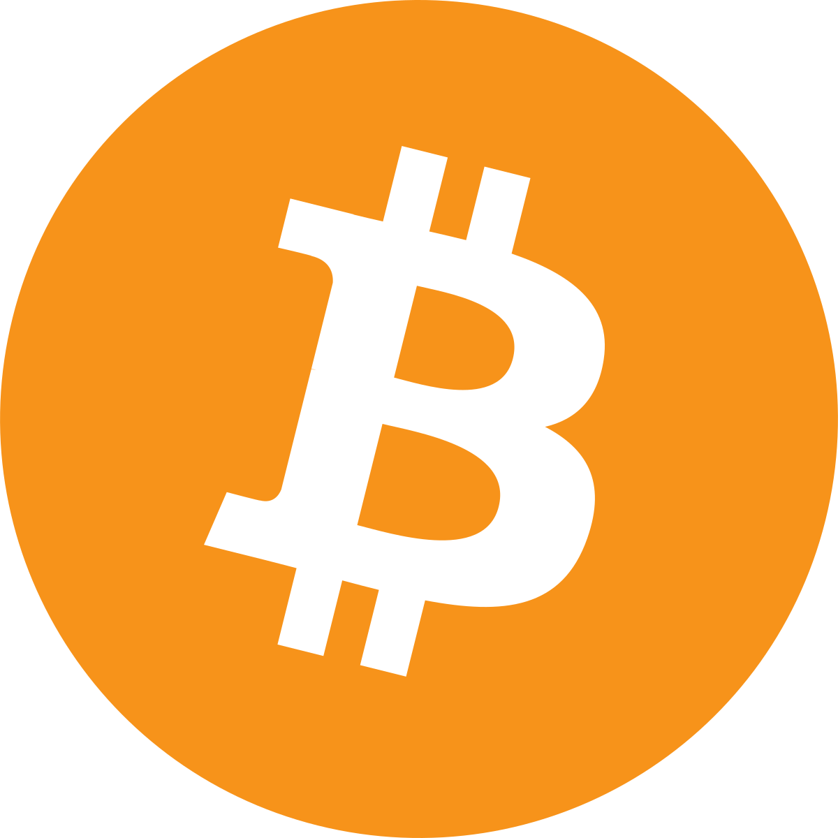 Bitcoin Logo, symbol, meaning, history, PNG, brand