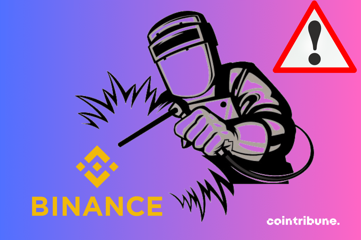 TAO DAO (TAO) Token Smart Contract | Binance (BNB) Smart Chain Mainnet