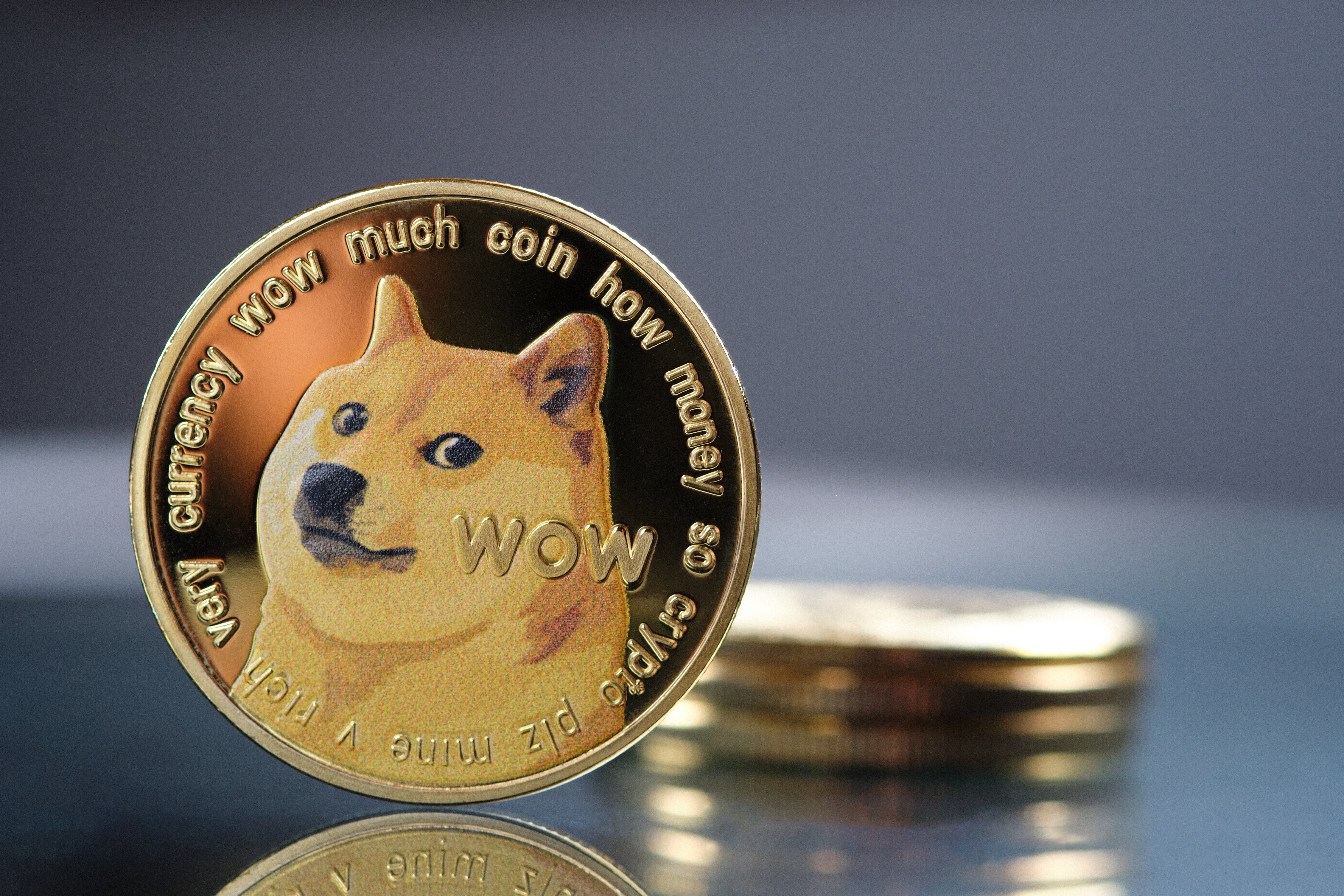 DOGE to USD | Convert DogeCoin to US Dollars | Revolut Singapore