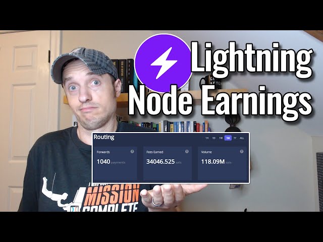 Rational Economic Behaviours in the Bitcoin Lightning Network