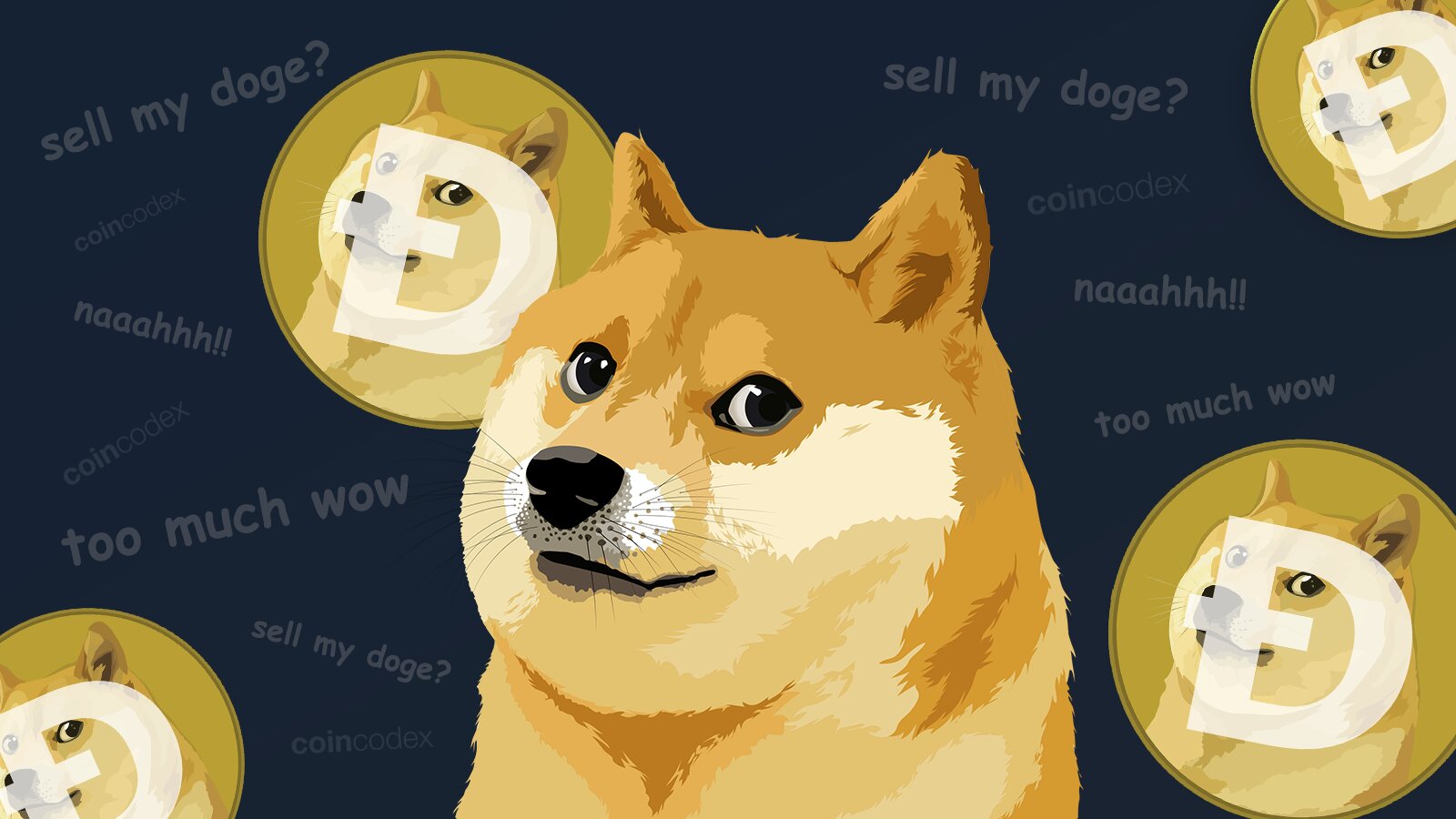 Dogecoin (DOGE) Profitability at Highest Level in 