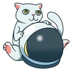 WIKI CAT (WKC) live coin price, charts, markets & liquidity