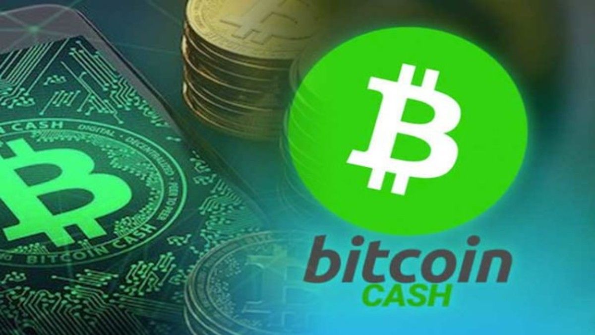 Investing In Bitcoin Cash (BCH) - Everything You Need to Know - cointime.fun