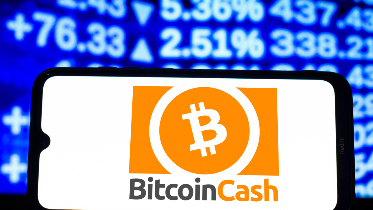 Review of Bitcoin Cash Giveaway : Scam or legit ?