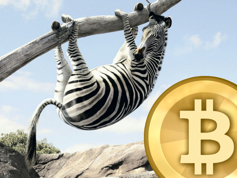 Zebra DAO (ZEBRA) live coin price, charts, markets & liquidity