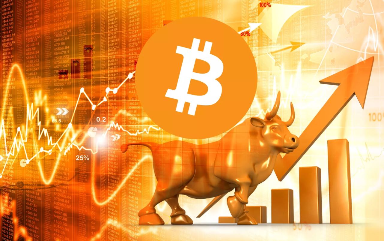 Next Crypto Bull Run Prediction - In-Depth Market Analysis