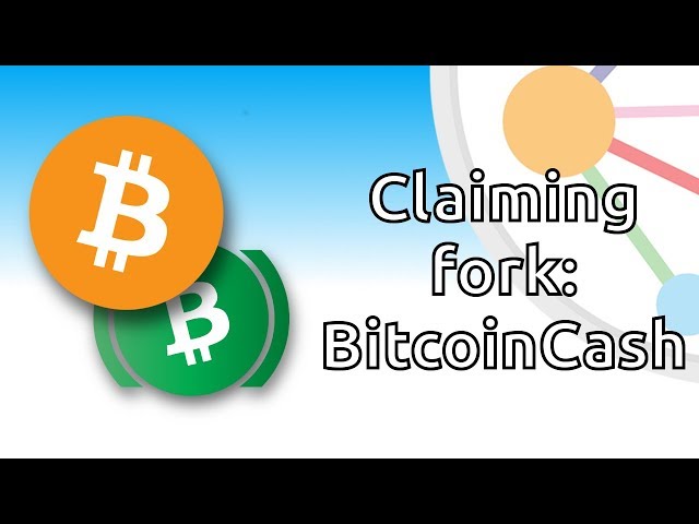 Bitcoin Cash explained: BTC hard fork for faster transactions | CoinLoan Blog