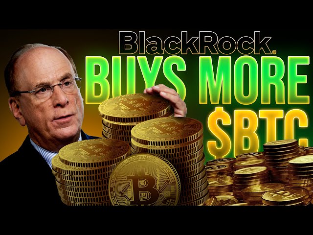 BlackRock and Fidelity hold $b in Bitcoin — but these holders have even more – DL News