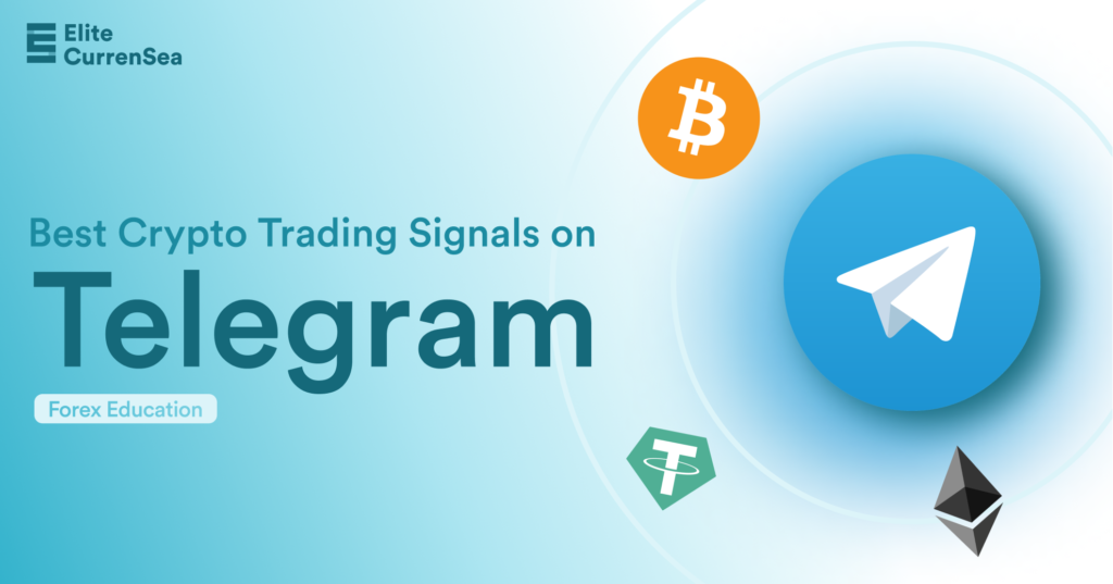 Free Crypto Signals Telegram Channels | myTelegram