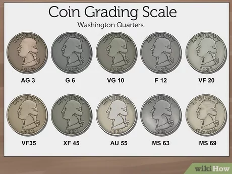 PCGS or NGC: Which Company is Better For Grading Coins? – American Coin Stash