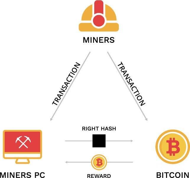 How Does Cryptocurrency Work? | Built In