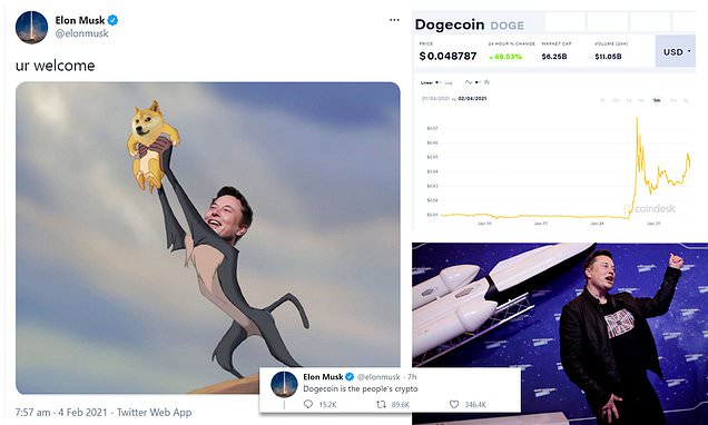 Dogecoin (DOGE): A tweet from Elon Musk sets the web on fire!