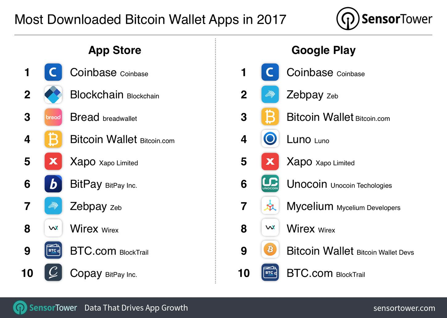 Top Richest Bitcoin Addresses and Bitcoin distribution