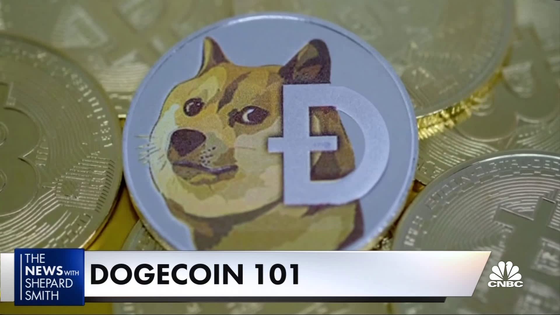 Will Dogecoin reach 50 Cents, $1?