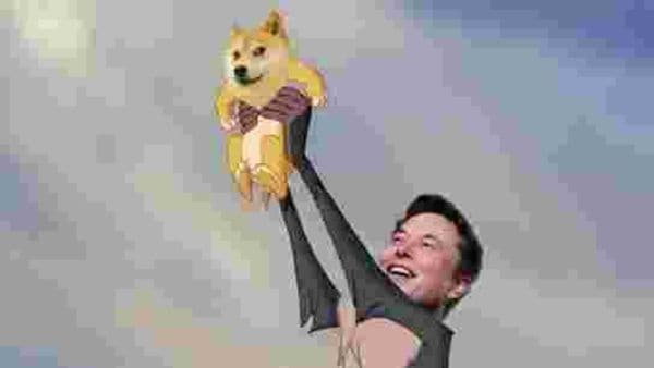 Elon Musk discloses that Tesla owns Dogecoin but how much?