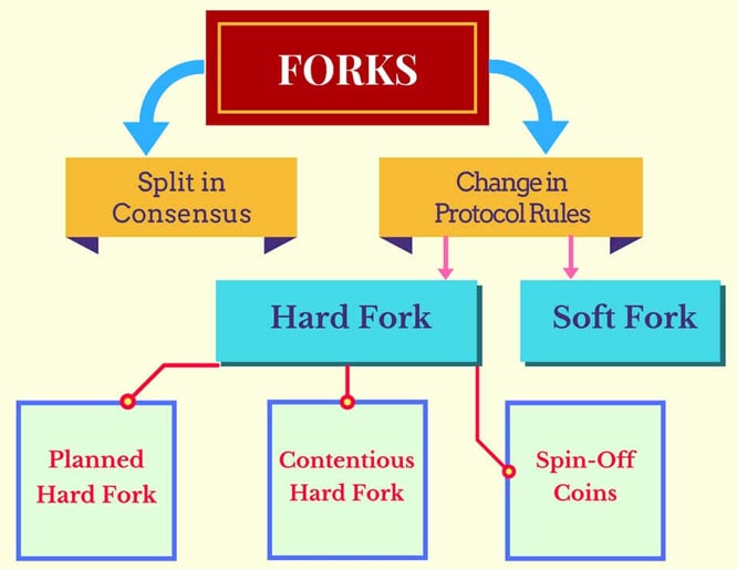 What Is A Blockchain Fork | Blockchain Forks Explained | Skrill