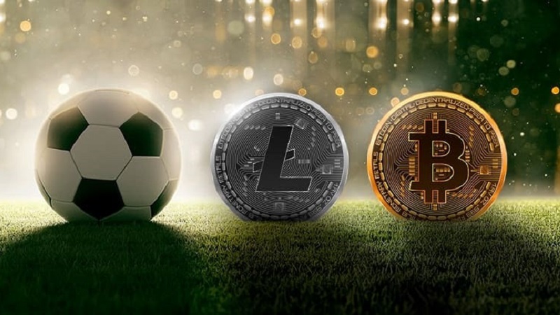 Best Crypto & Bitcoin Sports Betting Sites【】Top List🥇