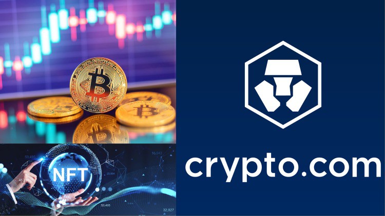 The Best Cryptocurrency Trading Courses for 