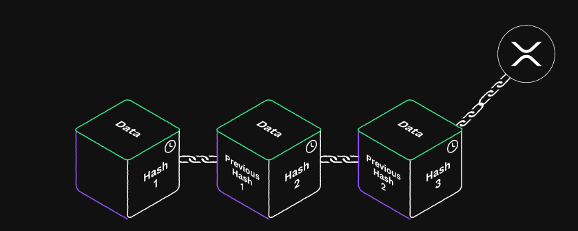 XRP Ledger - Scorechain | Blockchain & Digital Assets Compliance