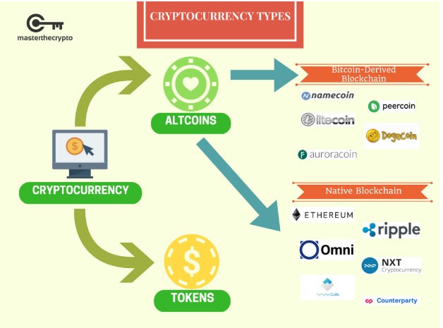 Token vs. Cryptocurrency: Primary Uses and Differences