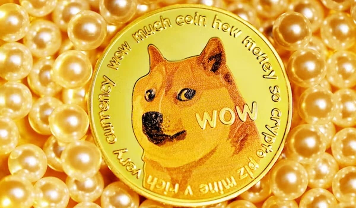 Dogecoin Explorer