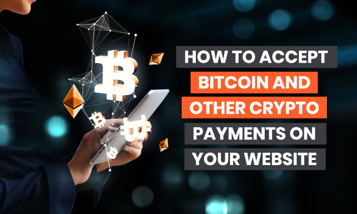 NOWPayments — Accept Crypto Payments as a Business