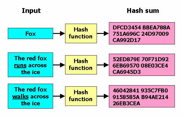 SHA Algorithm Explained by a Cyber Security Consultant - InfoSec Insights