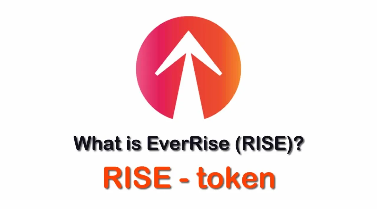 Rise | Crypto Payroll & Web3 Workforce Solutions