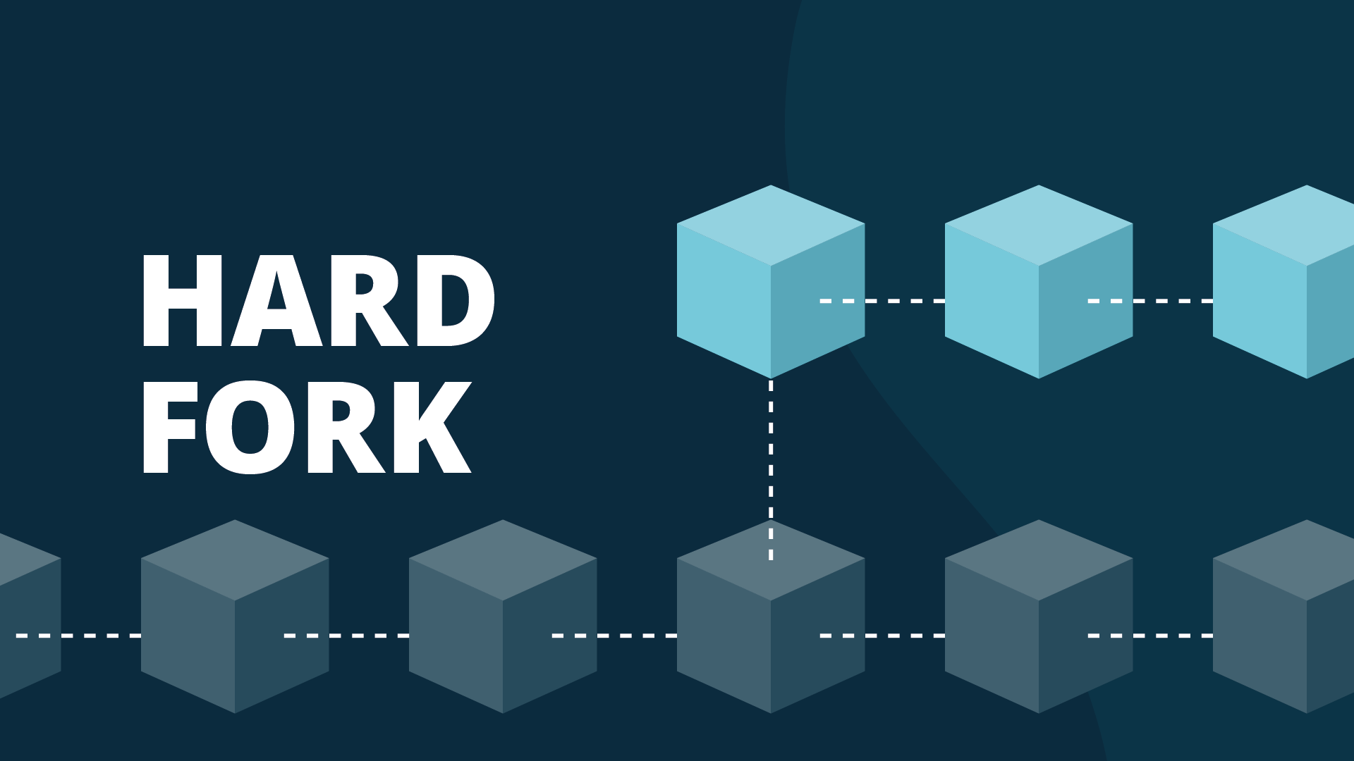 What is a Blockchain Hard Fork? - Zerocap