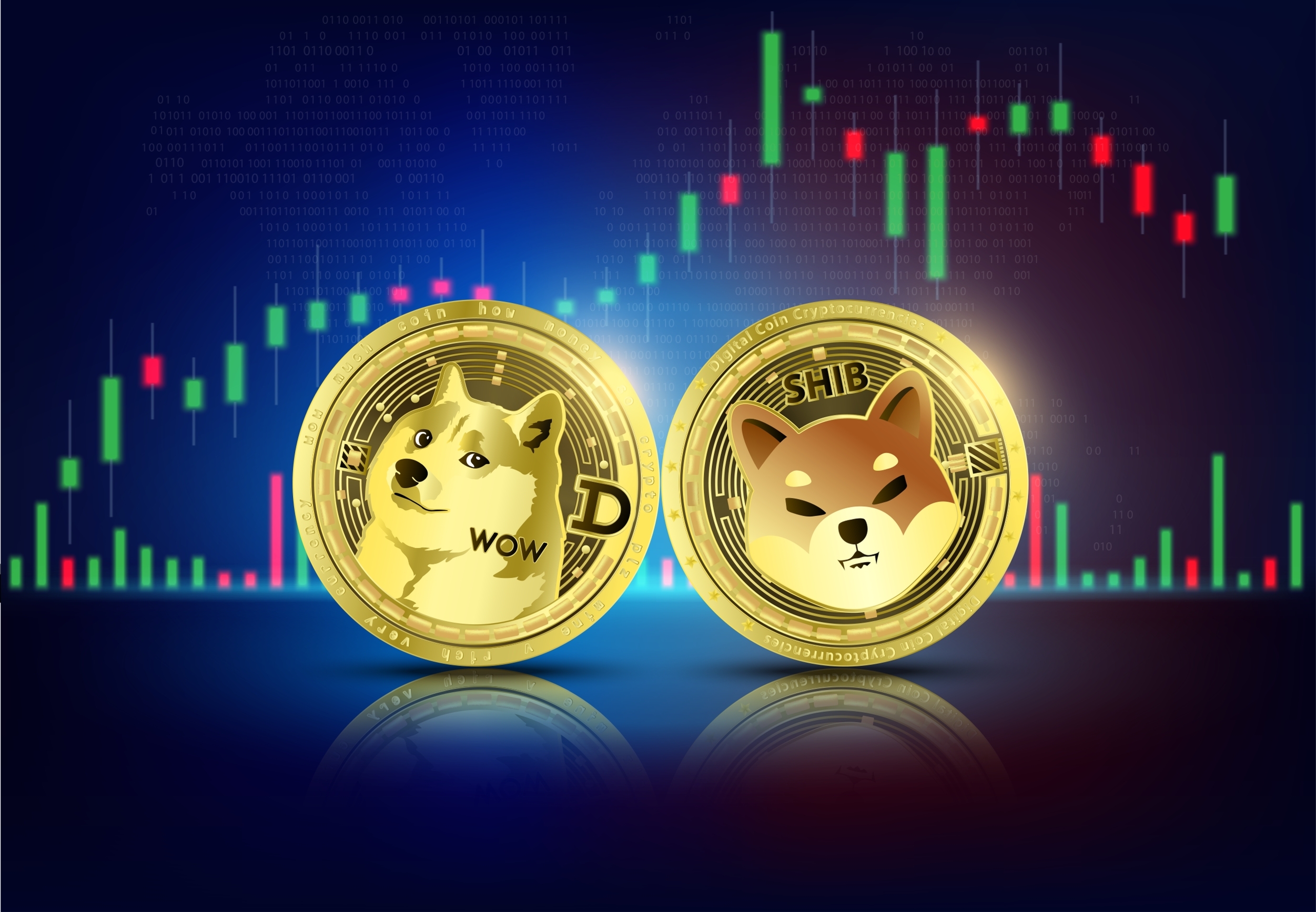 Dogecoin Price Prediction: , , , - 