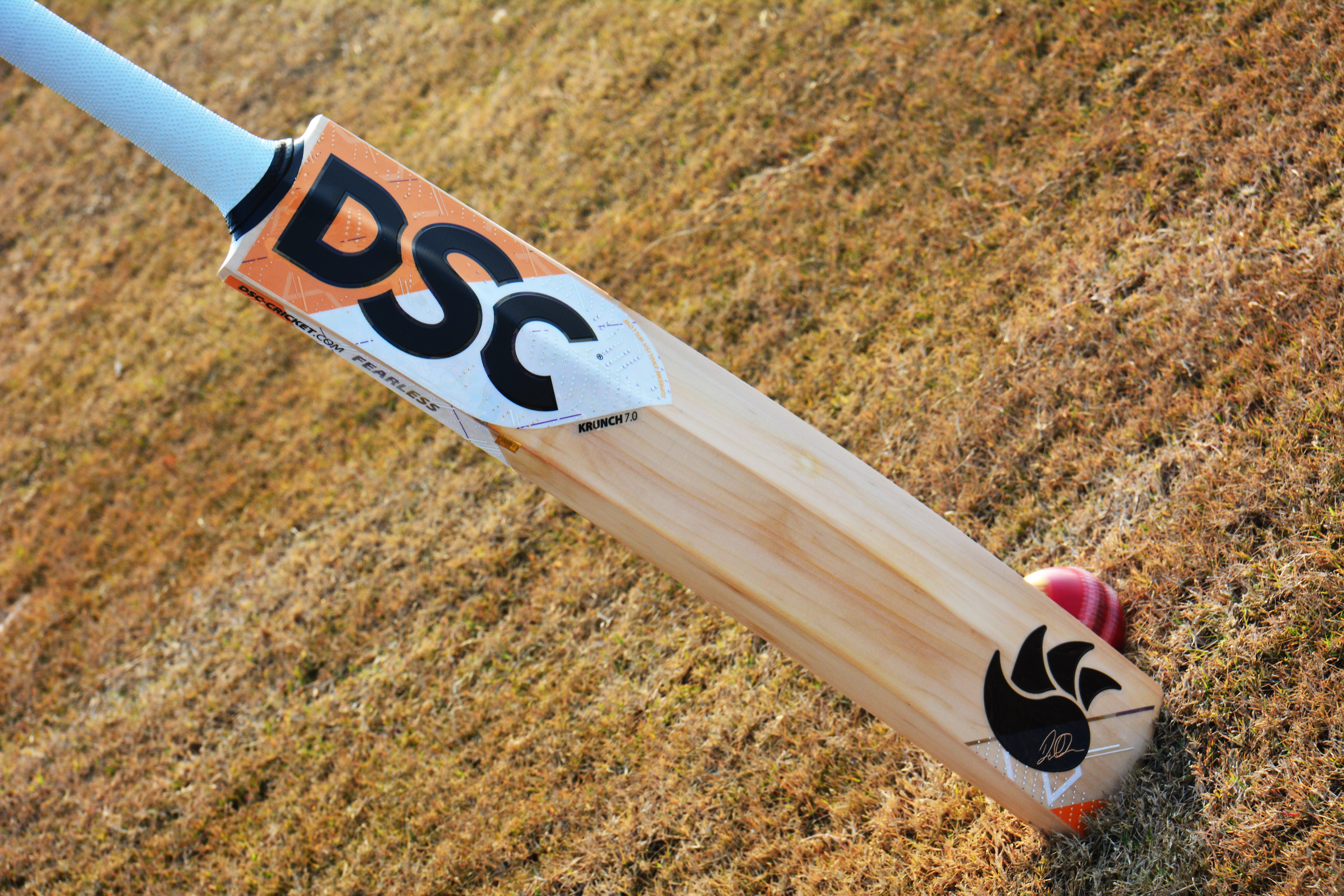 Adidas Cricket XT Kashmir Willow Cricket bat - Bangladesh | Ubuy