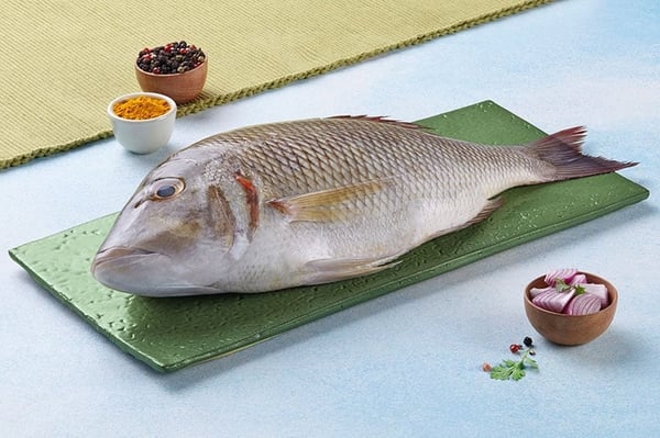 Buy Fresh Fish, Sea Fish & Pure Meat Online | Kolkata Fish