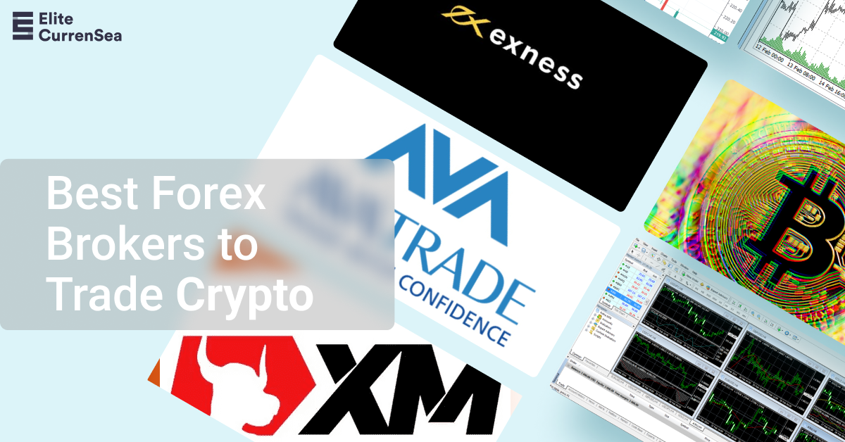 5 Best Forex Brokers with Crypto Deposit for | FXEmpire