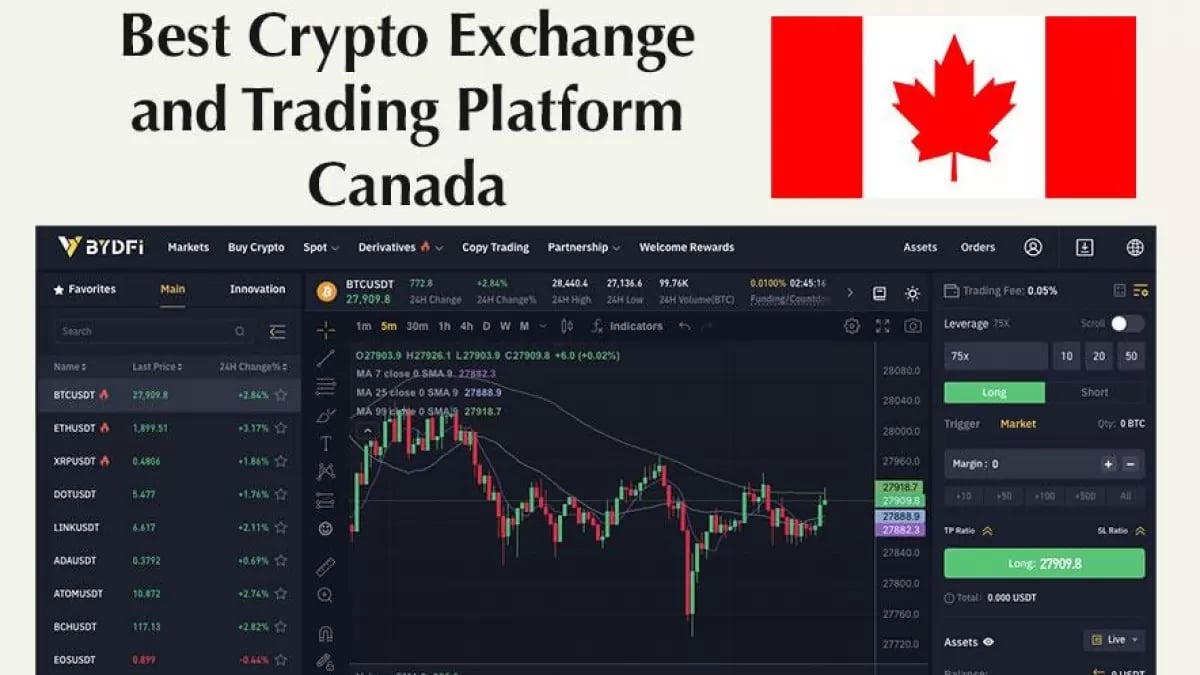 Easy crypto trading for Canadians | Newton