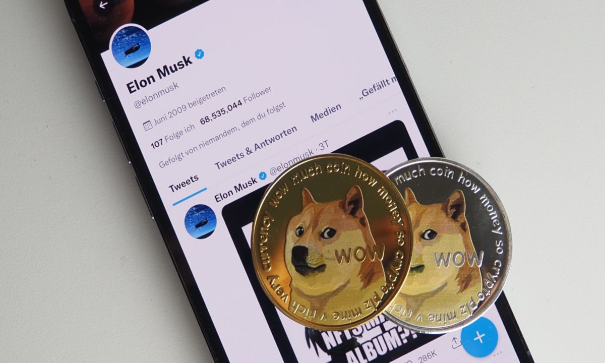 Elon Musk accused of insider trading in Dogecoin lawsuit | Elon Musk | The Guardian