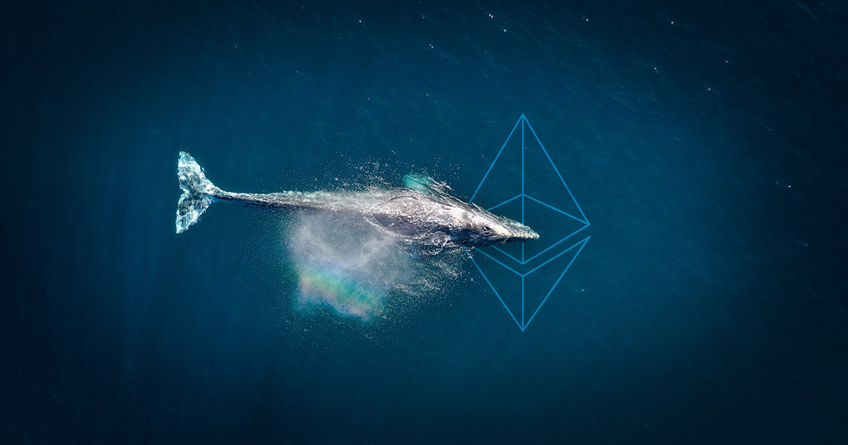 How to Track Crypto Whales？ | CoinCarp