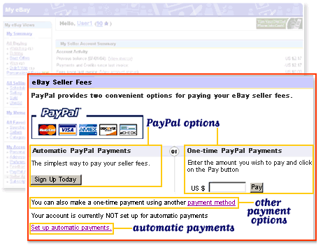 eBay Payment Method: How to Pay on eBay - PayPal